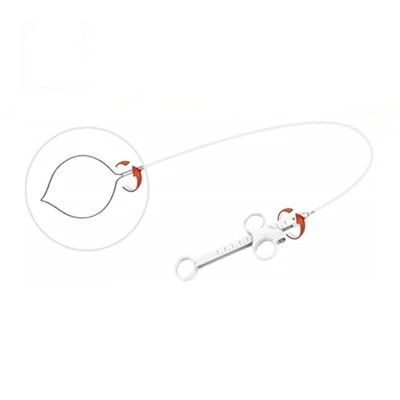 Snare tal-Polypectomy li jintremew